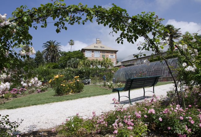 Entdecken Sie die Parkanlagen und die Promenade Anita Garibaldi in Nervi