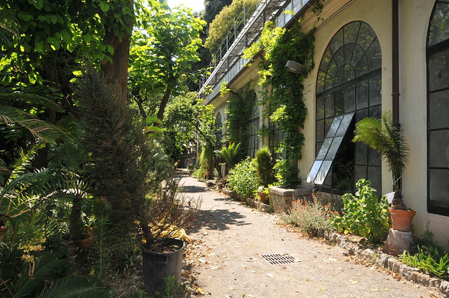 Jardin Botanique Corso Dogali (Université)