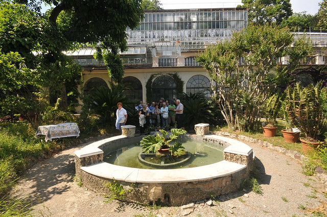 Botanischer Garten Corso Dogali (Universität)