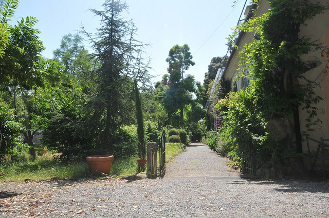 Orto botanico Corso Dogali (Università)