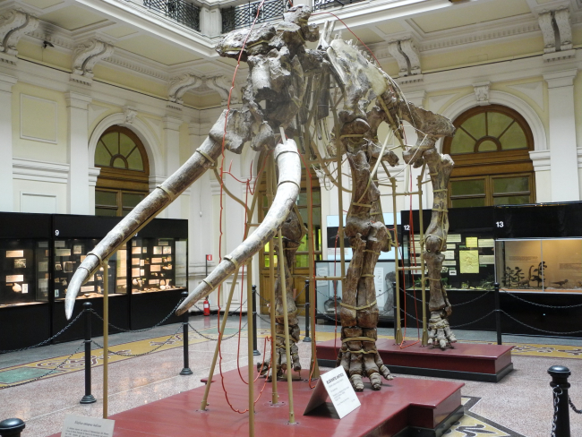 Natural History Museum G. Doria