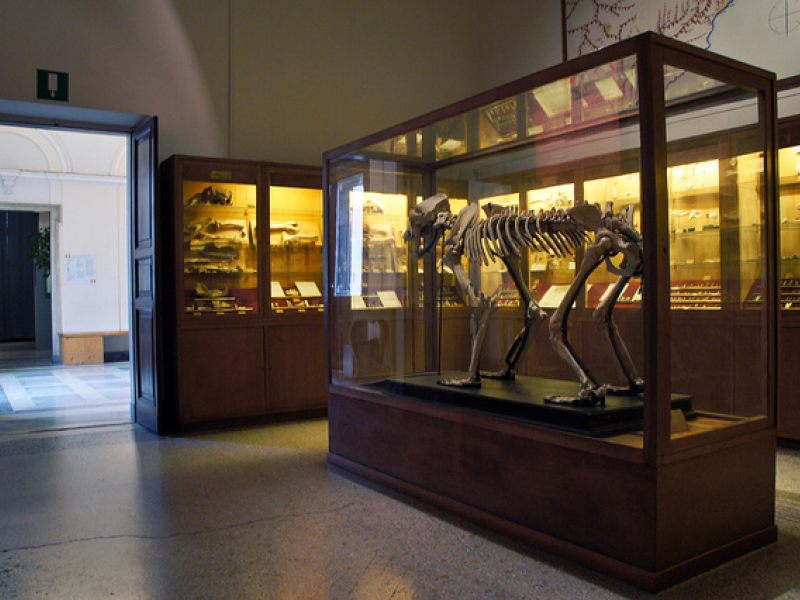 Il Natale al Museo di Archeologia Ligure