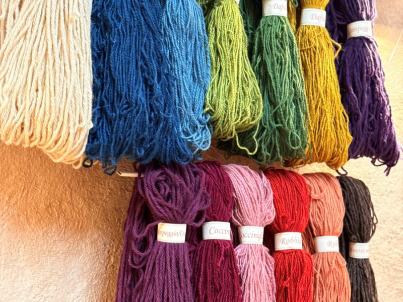 KidPass 2025. Leggiamo al Museo! Avventure tra le pagine