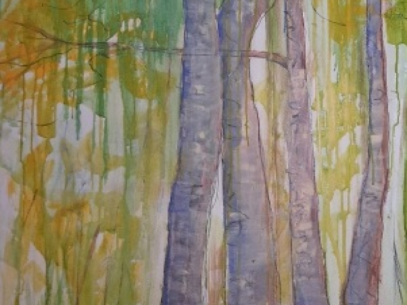 Frammenti ricomposti.  Alberi e visioni tra pittura e fotografia