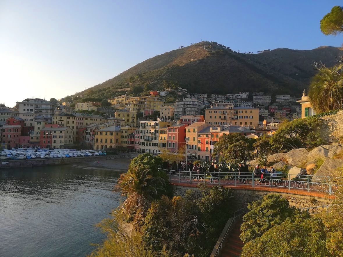 Nervi 