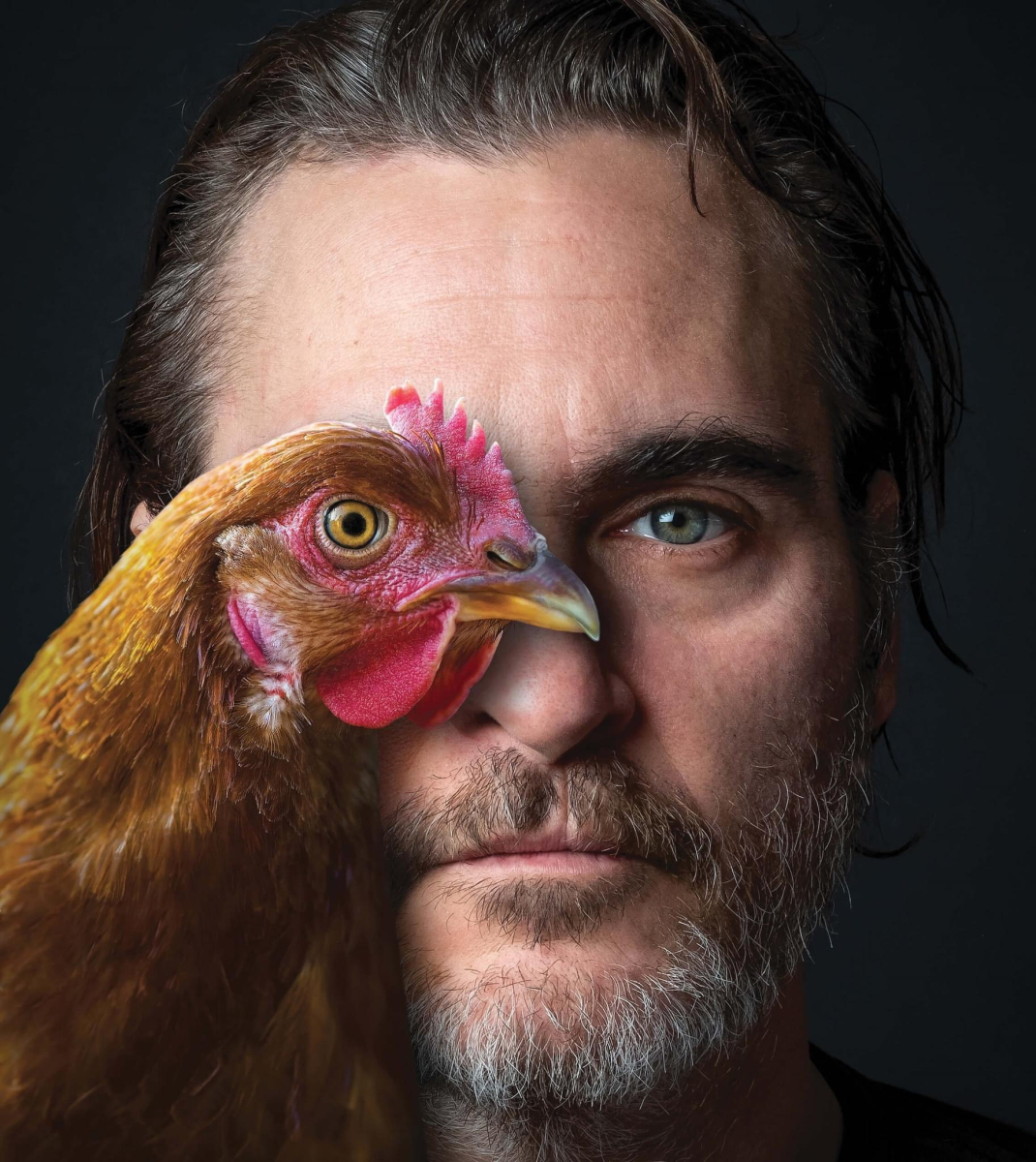 FORME 25 - BIRDSONG IMG_7543 