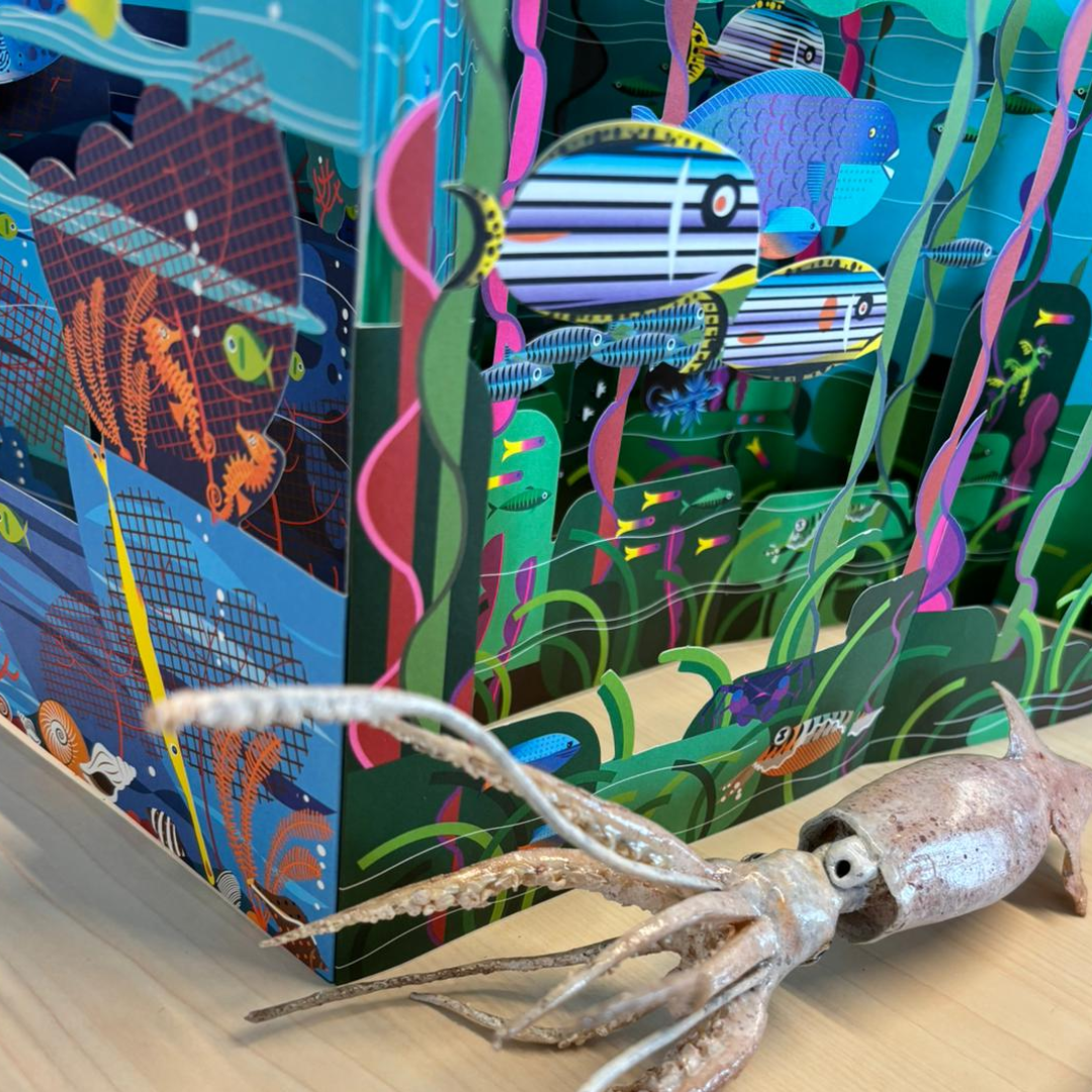 Libri multilingue e creature del mare in esposizione alla Biblioteca De Amicis 