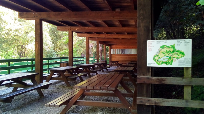 ATTIVITA’ IN NATURA PER BAMBINI CURIOSI A VILLA SERRA DI COMAGO