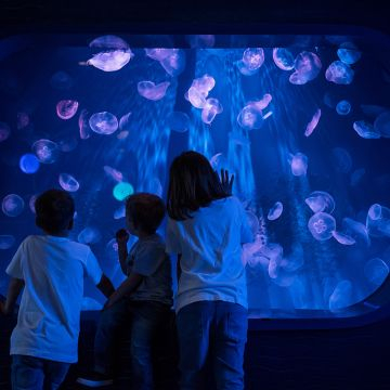 Giornata Internazionale dell'Infermiere