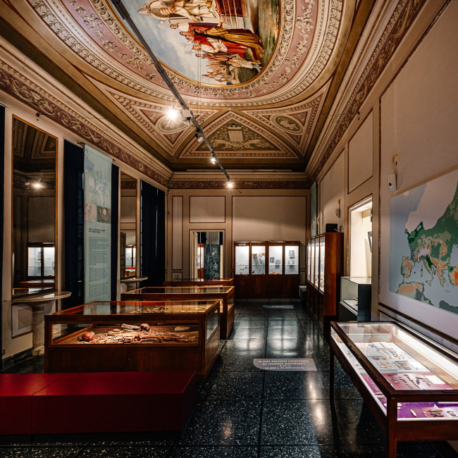 Riapre il Museo di Archeologia Ligure