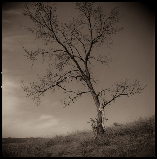 Il paesaggio sacro nordamericano