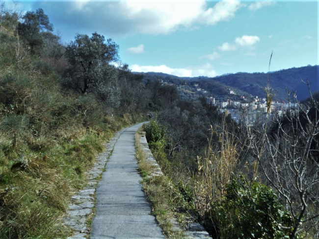 Hiking for future. Due weekend nel verde di Genova