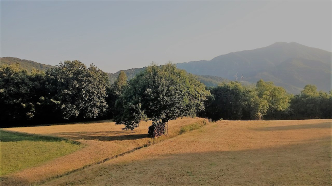 Sostenibilità e biodiversità. Un kit di attrezzi