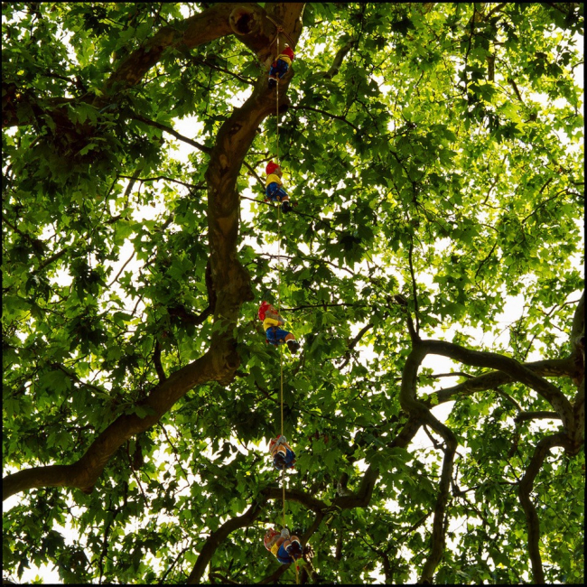 Giardini disobbedienti