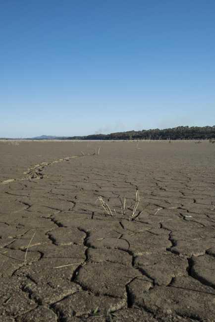 Vento, caldo, pioggia, tempesta. Istantanee di vita e ambiente nell'era dei cambiamenti climatici