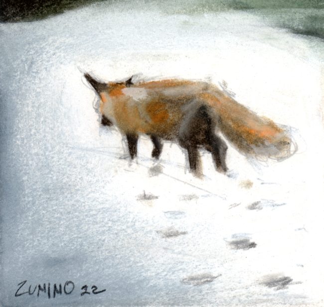 IN VIAGGIO COI RIBELLI, STORIE DI PROGETTI E VIAGGI NON CONVENZIONALI