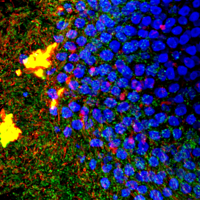 Mille e una molecola: storia a colori di un pezzo di vetro