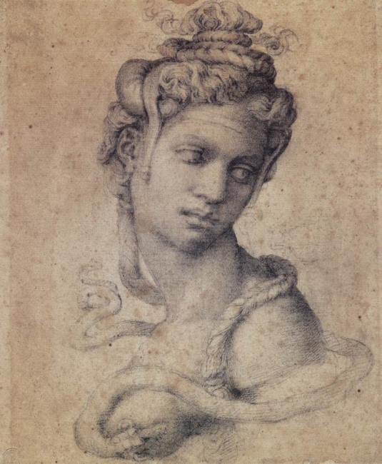 Michelangelo: divine artist - Palazzo Ducale