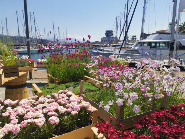 Yacht & Garden al Marina Genova di Sestri Ponente
