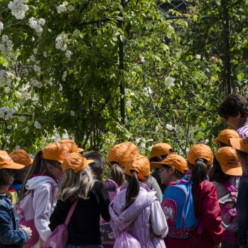 SCIENCE SNACK ALLA CITTA' DEI BAMBINI