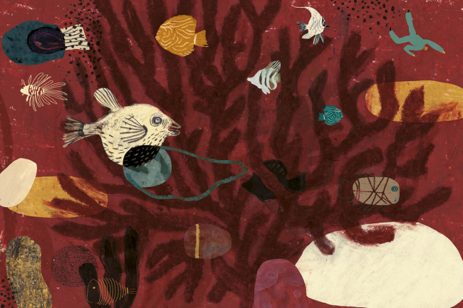 Il Capitano D’Albertis e le sue entusiasmanti imprese