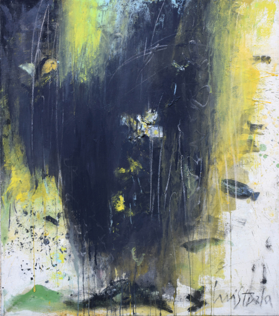 Memorie del visibile - Luiso Sturla