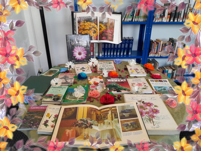 Piante, fiori e colori dal mondo