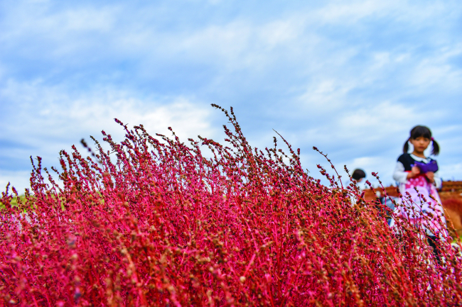 I colori del Giappone