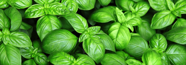 Genova tra terra e mare: anche in cucina