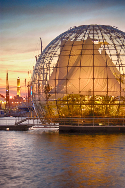 Il sorprendente contatto con la vita e i misteri del mare!