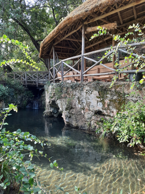 Scopri il Parco di Villa Durazzo Pallavicini