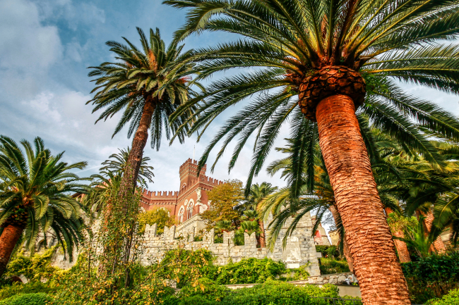 Genova verticale: dal Carmine all’Albergo dei Poveri al Parco di Castello d’Albertis - Visita guidata