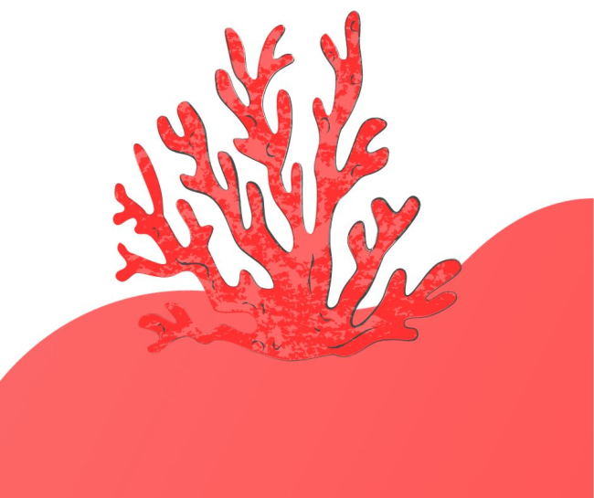 Impronte di corallo - Video, interviste, racconti sull’ “oro rosso”
