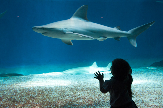 Divertimento per tutta la famiglia