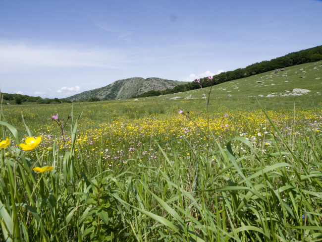 Arenzano e Cogoleto: la riviera del Beigua