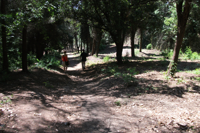 ГОРОДСКОЙ ПАРК  КРЕПОСТНЫХ СТЕН  И КРЕПОСТИ