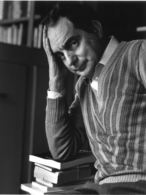 Italo Calvino, un maestro di scrittura tra ironia fiaba e realtà