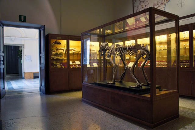 Museo Archeologico e Parco avventura