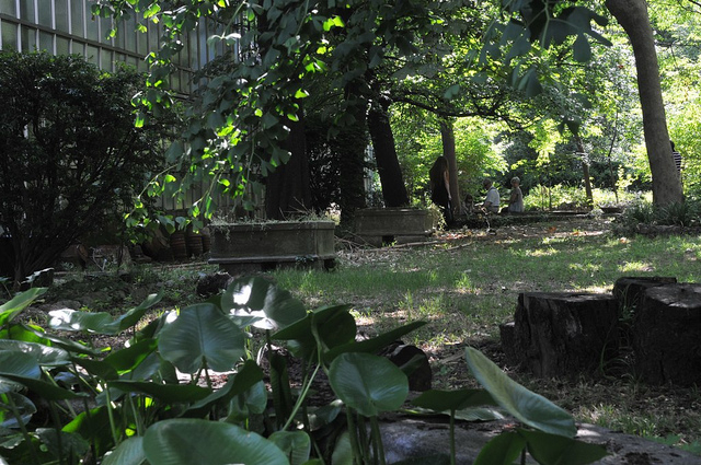 Jardín Botánico Corso Dogali (Universidad)