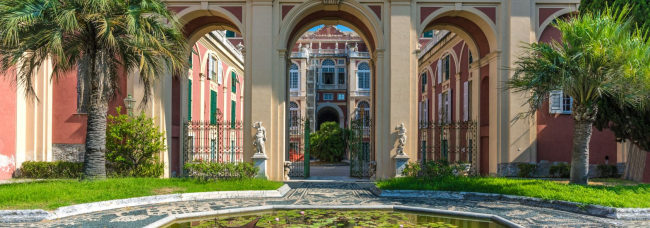 Una bellezza che parla