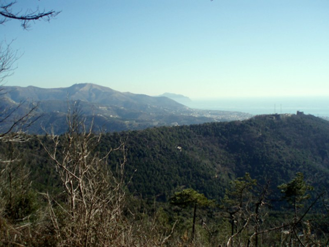 ГОРОДСКОЙ ПАРК  КРЕПОСТНЫХ СТЕН  И КРЕПОСТИ