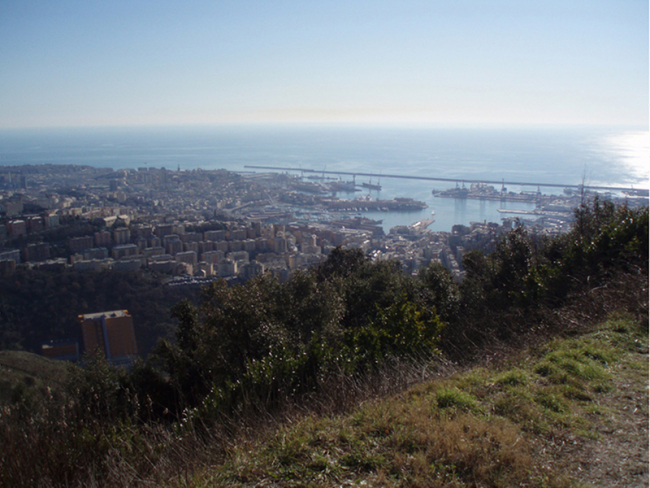 ГОРОДСКОЙ ПАРК  КРЕПОСТНЫХ СТЕН  И КРЕПОСТИ