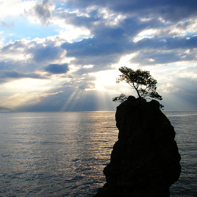 Il Parco di Portofino e la Riserva Marina