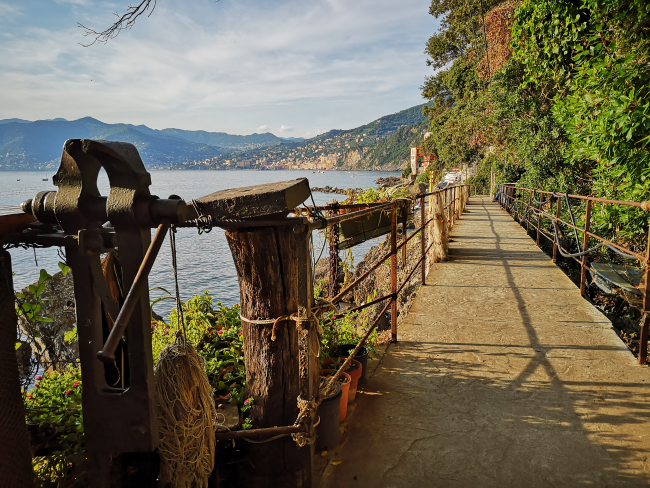 Il Parco di Portofino e la Riserva Marina