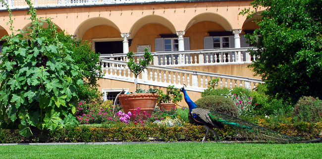 Jardín de Villa del Principe Doria