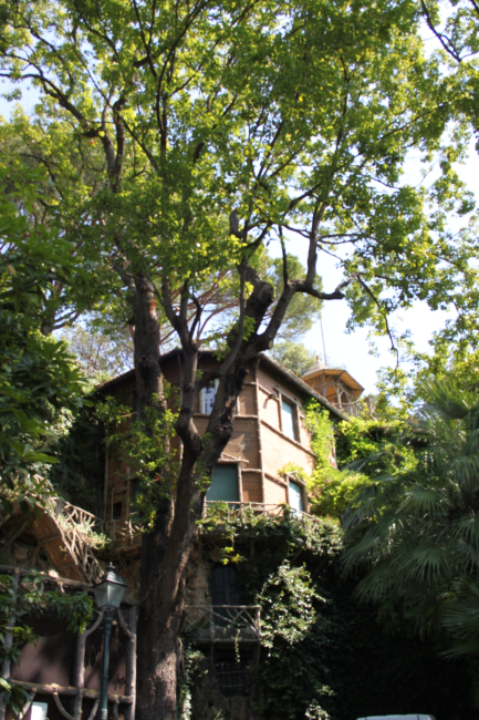 ВИЛЛЕТТА  ДИ  НЕГРО