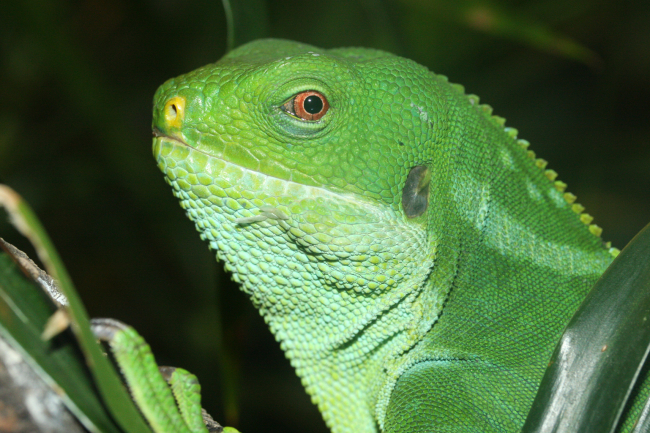 Scopri Genova a Pasqua: mare, arte ed eventi!