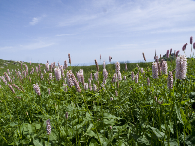 Arenzano e Cogoleto: la riviera del Beigua