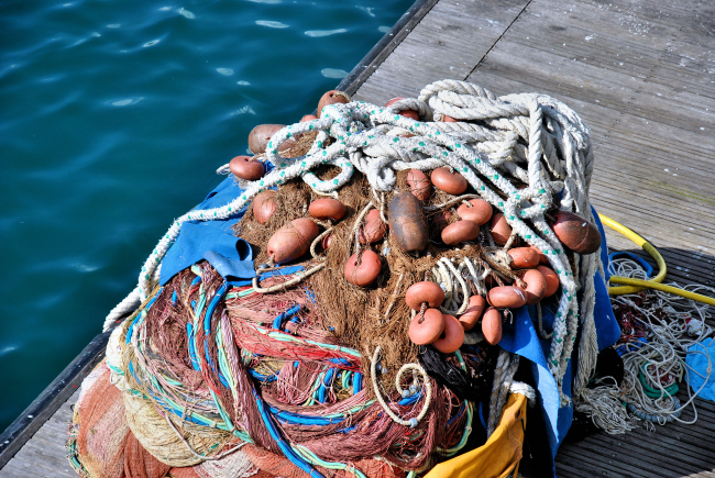 History and traditions