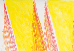 Stefano Arienti. FINESTRE MERIDIANE. Intersections with the collection of Villa Croce